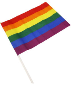 PRIDE - LGBT FLAG LARGE PENNANT