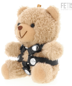 FETISH SUBMISSIVE - BONGO TEDDY BEAR BDSM MODEL 4